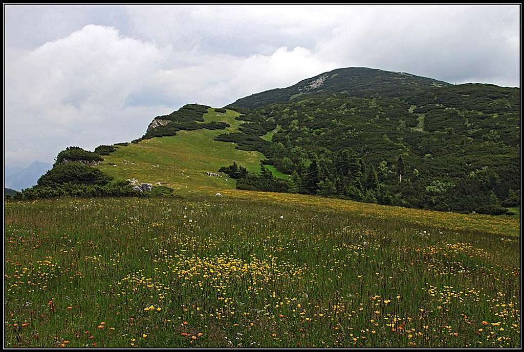 West ridge of Struska / Baerentaler Kotschna