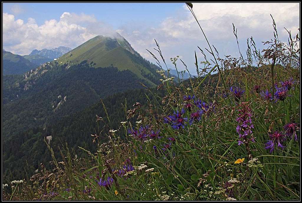 Golica from the W ridge of Struska / Baerentaler Kotschna