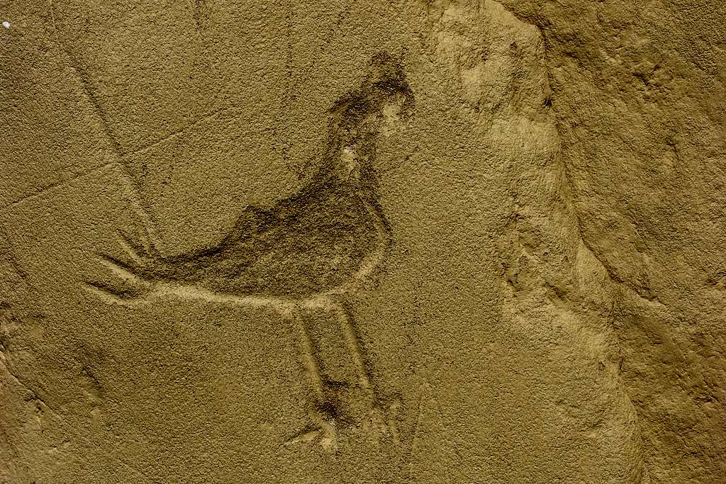 Petroglyph of a bird