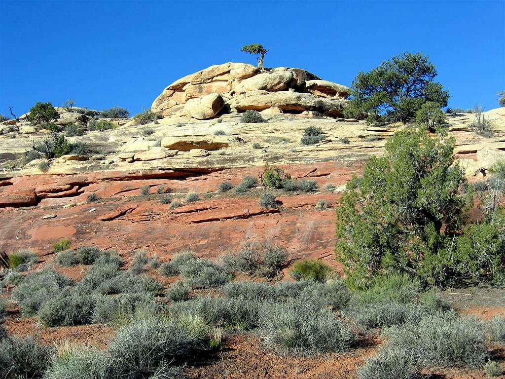 Slick Rock Area At The West End Of The Sandy Plain