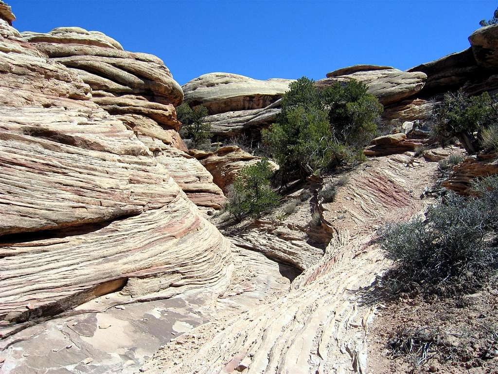 Slick Rock Canyon