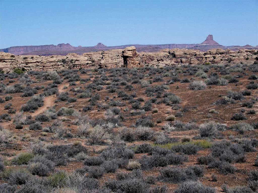 Desert Plain
