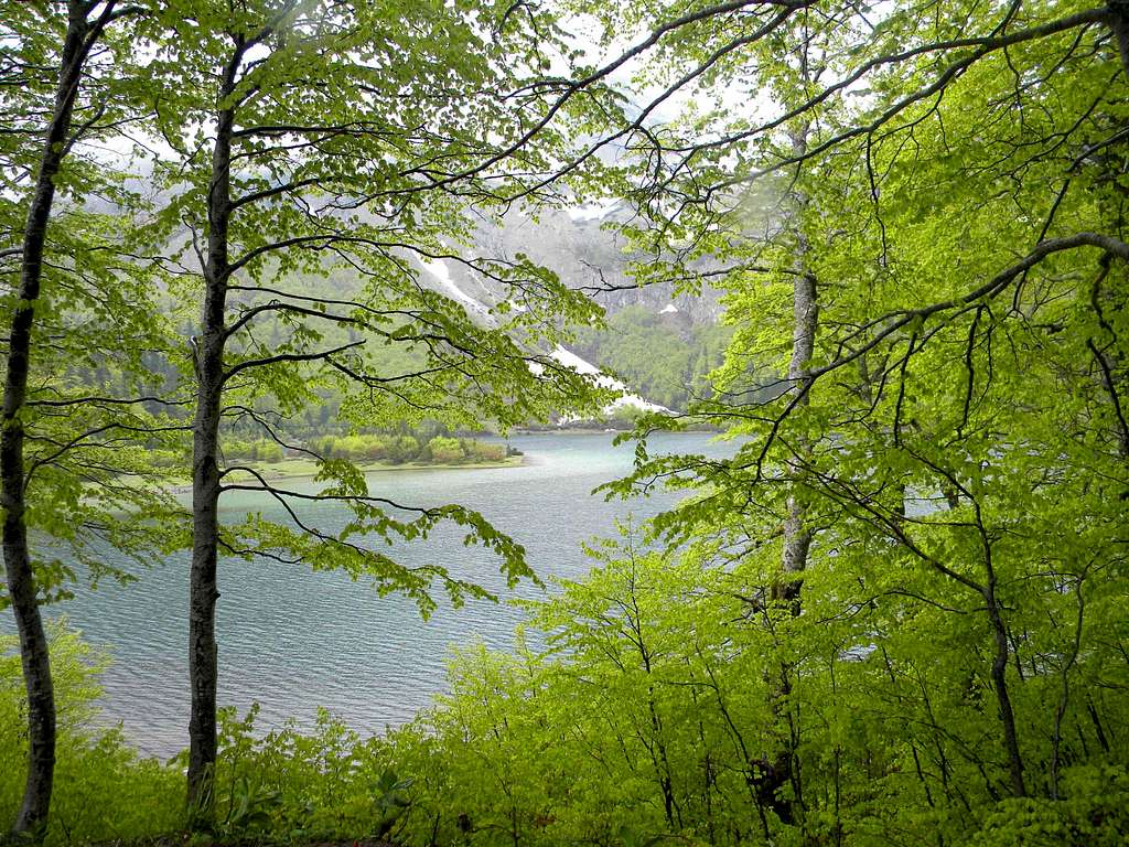Trnovacko lake