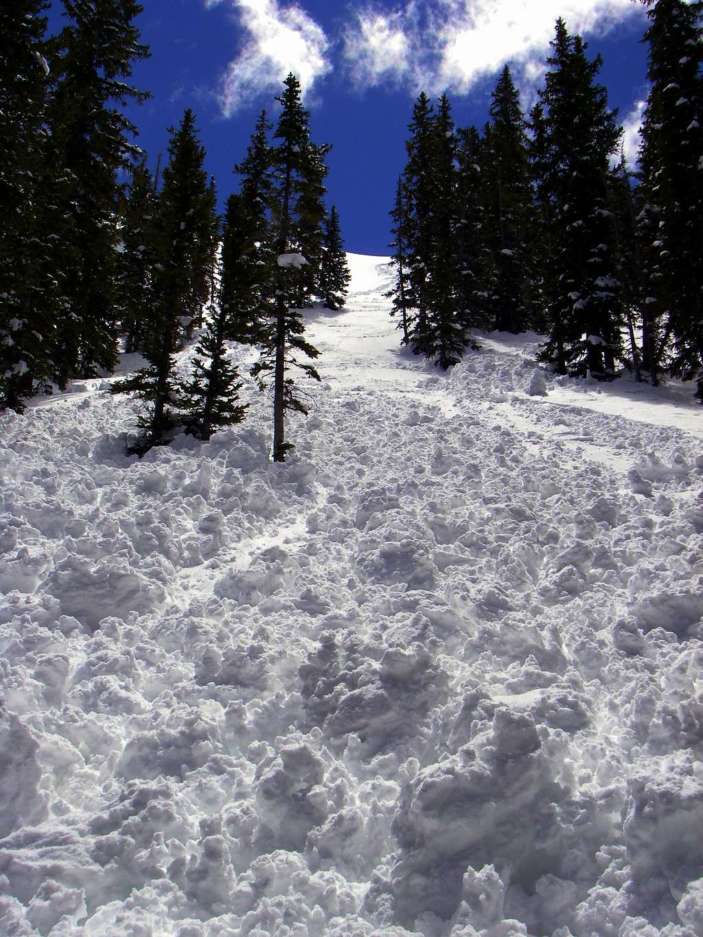 The avalanche in Silver Fork