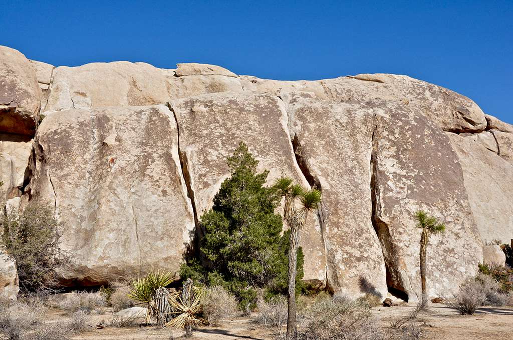 Peyote Cracks formation