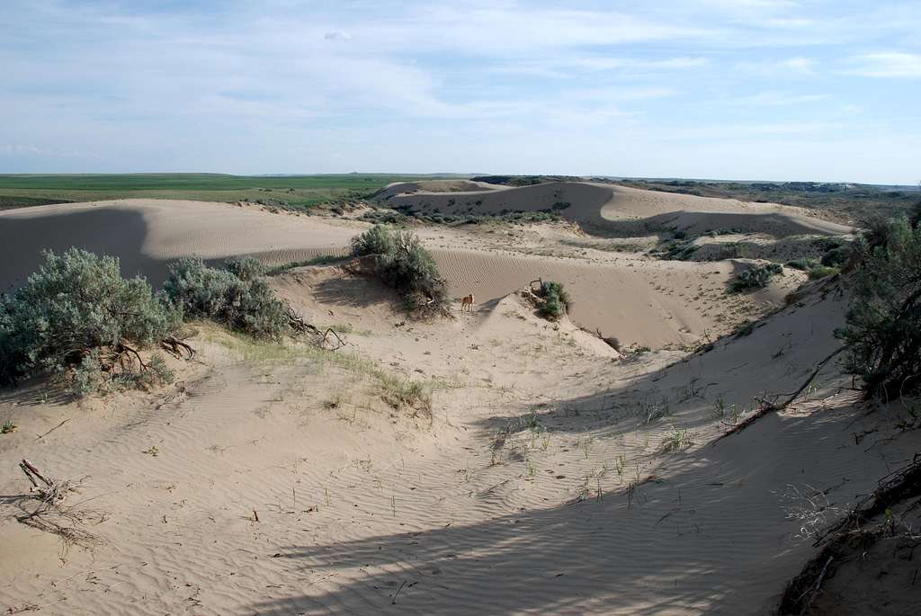 Sand Hills - view south
