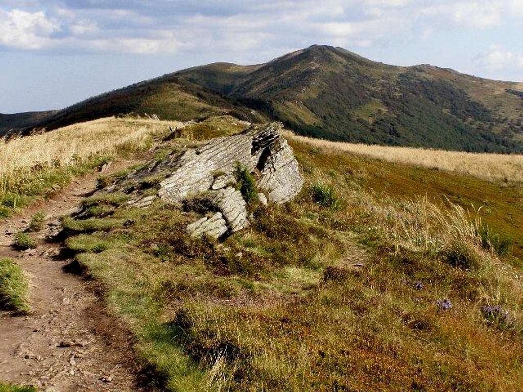 Ridge of Mount Bukowe Berdo (1313 m)