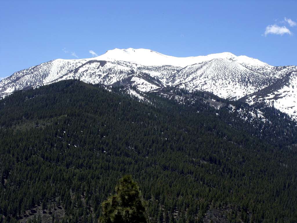 Mount Rose from the summit of Dry Pond Peak