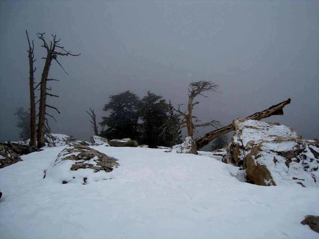 Foggy Summit on Angora Mountain