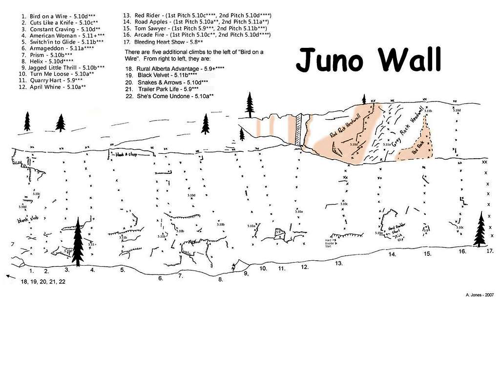 Juno Wall Topo
