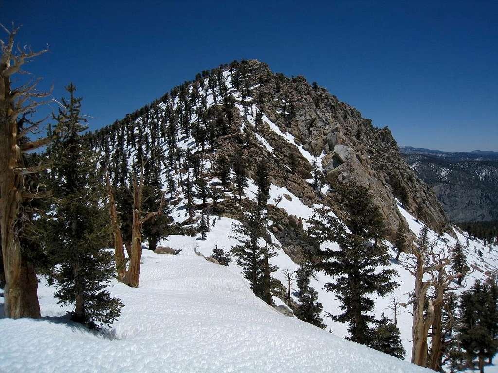 Coyote Peaks West Ridge