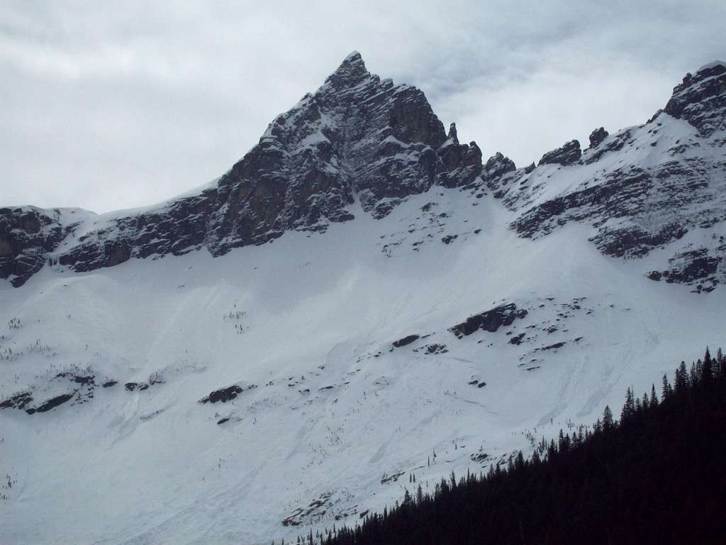 Little Matterhorn from Avalanche Lake