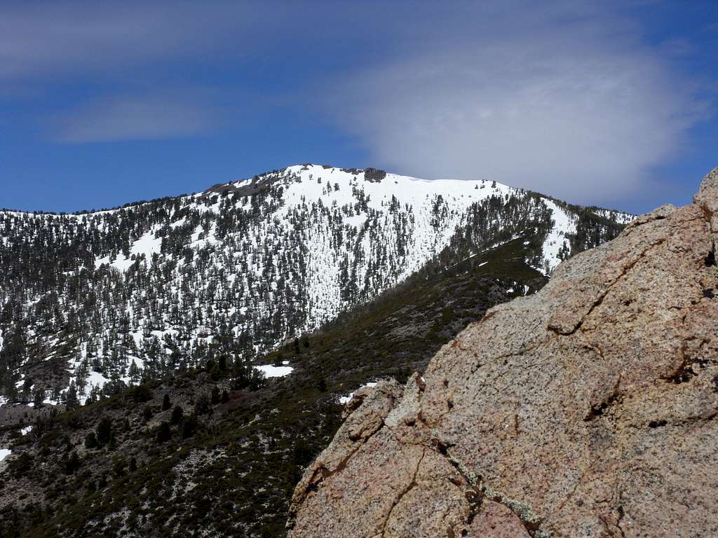 Snowflower Mountain 10,243' from the southeast summit of Alpine Walk Peak