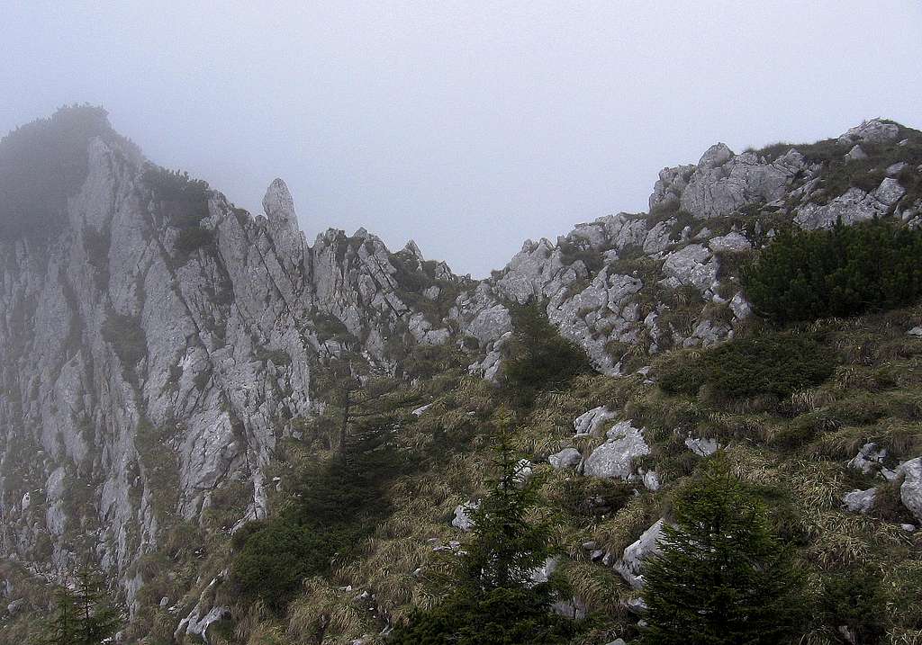 Part of the north ridge (Padina Popii - Turnu).