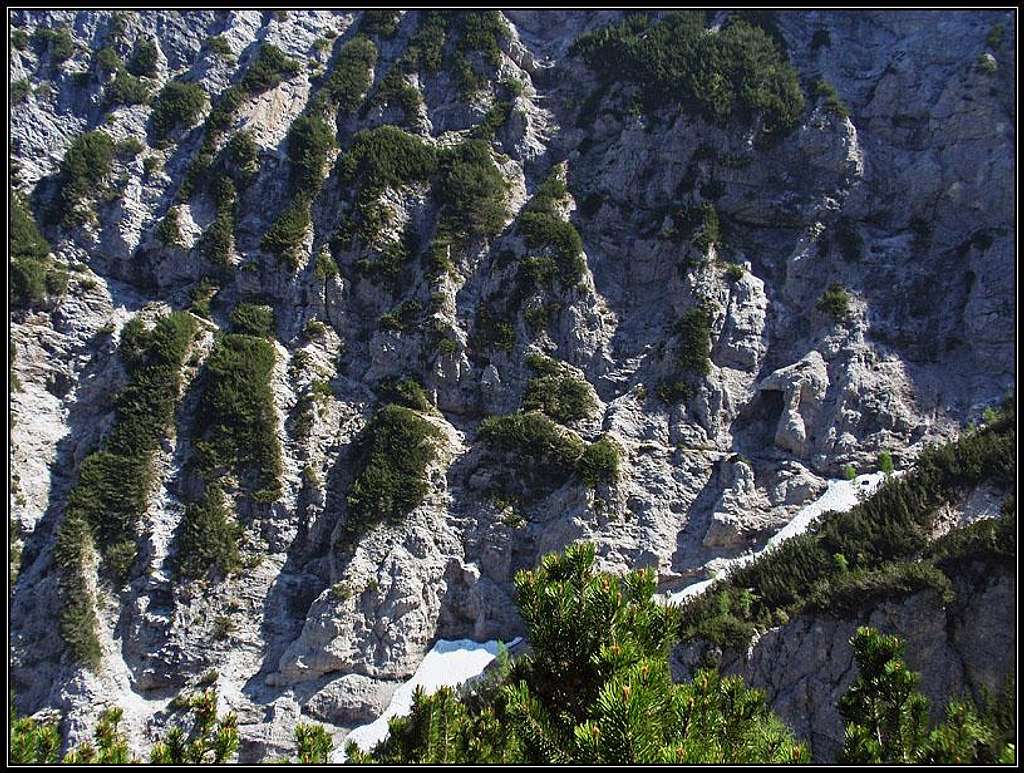 Hunters path on Monte Scinauz