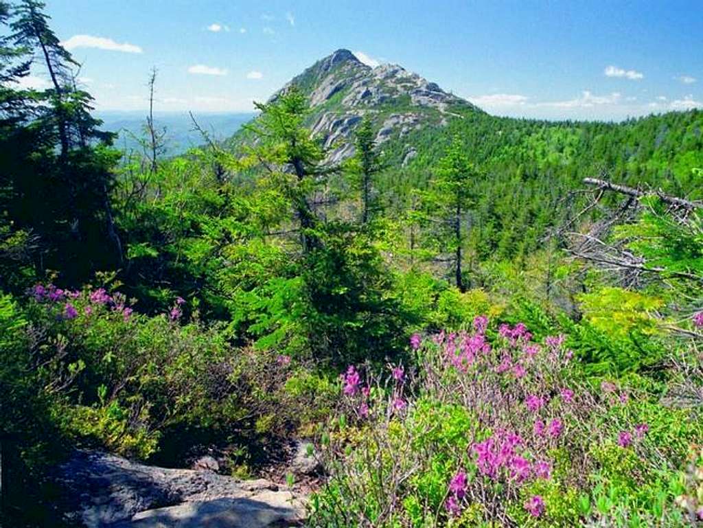 Chocorua summit from Middle...