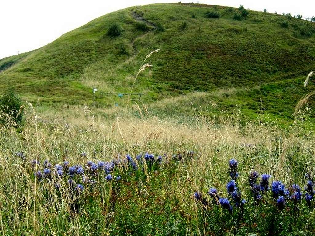 View towards Mount Wielka Rawka 