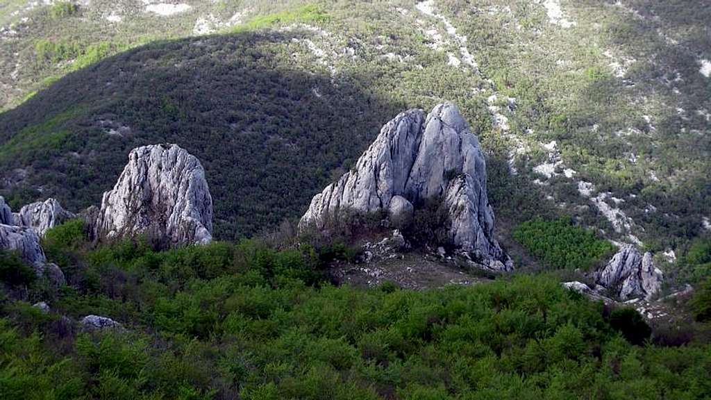 Bukovi dolac meadow