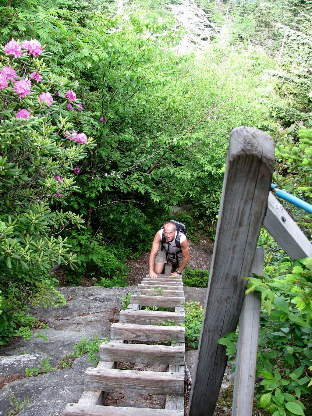 Ladders on the Scout Trail