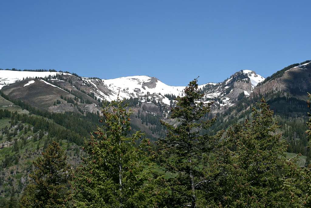Mt. Elmer With Snow