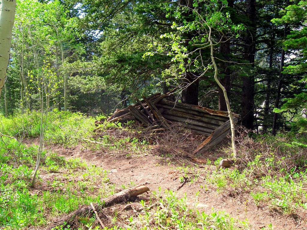 Ruins of old cabin