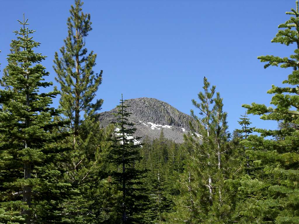Pickett Peak through the trees
