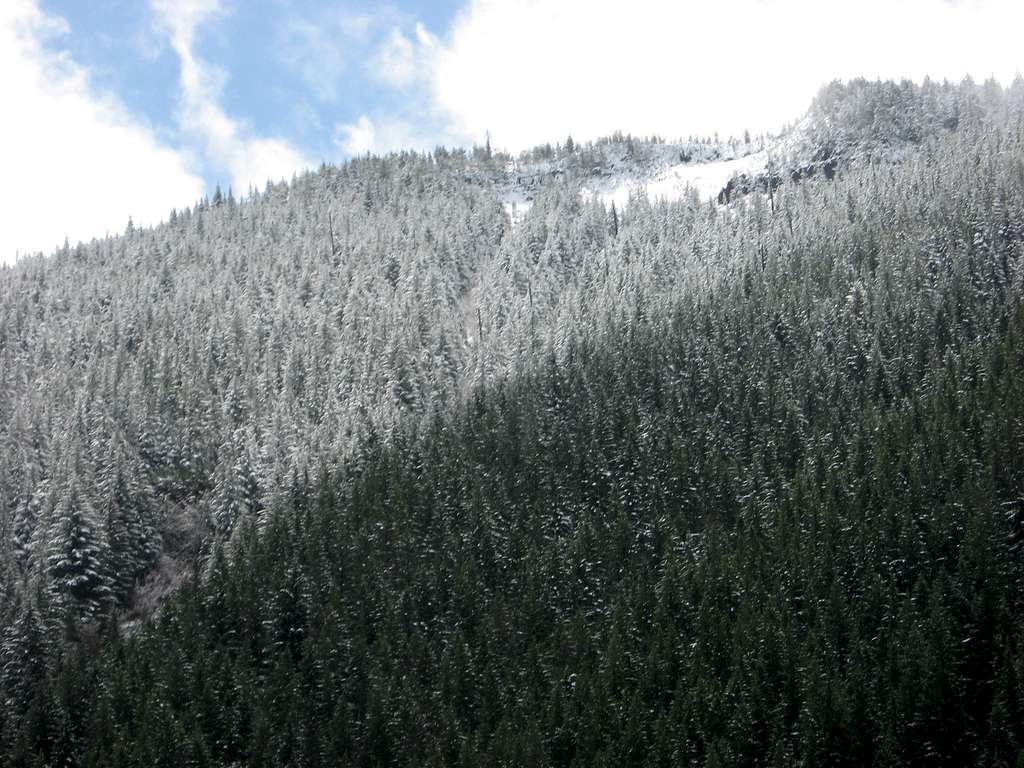 Snow line