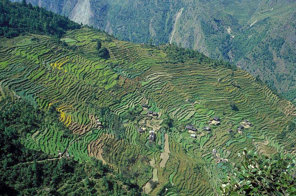 Langtang Terraces