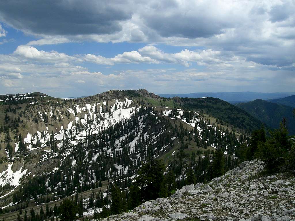 Mt. Jardine from Flat Top
