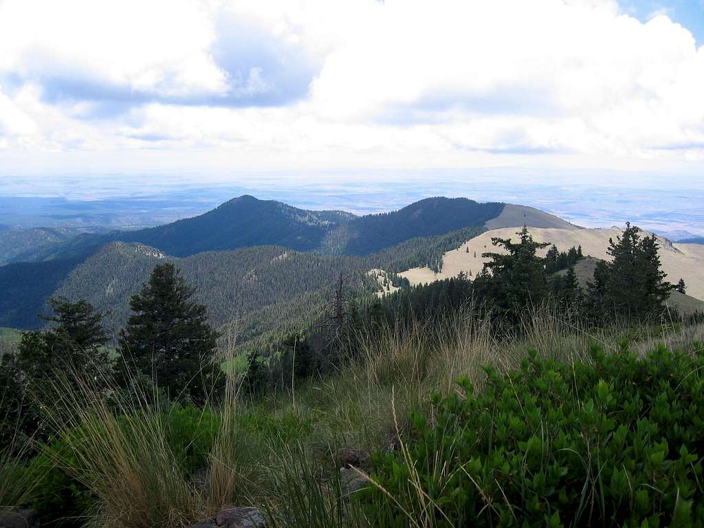 View from Mount Taylor Summit