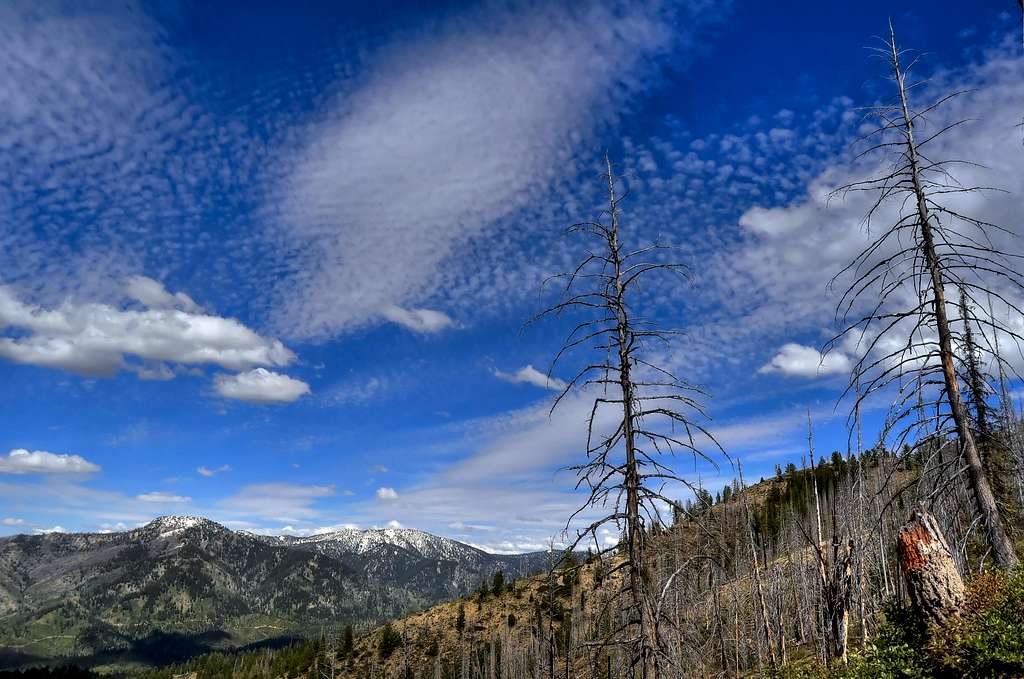 Granite Peak Trail