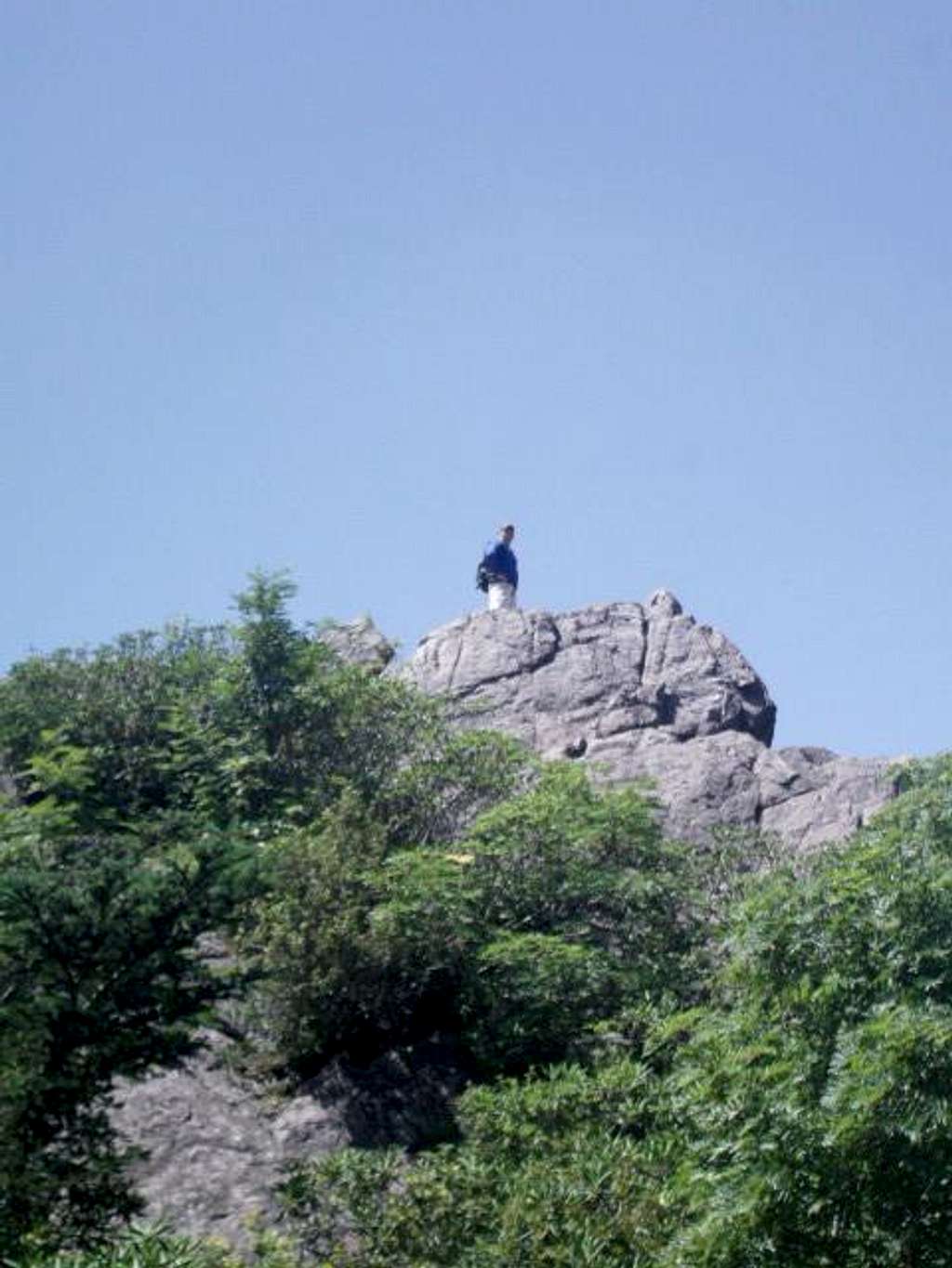 Atop Wilburn Ridge