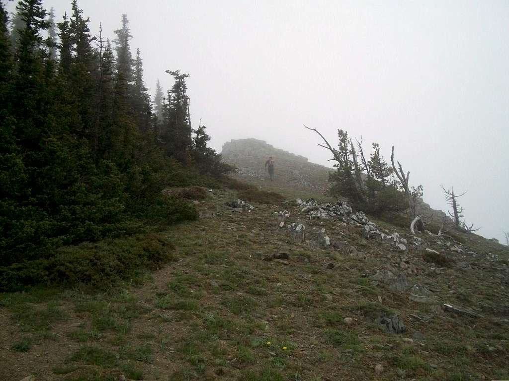 Lookout Mountain summit area