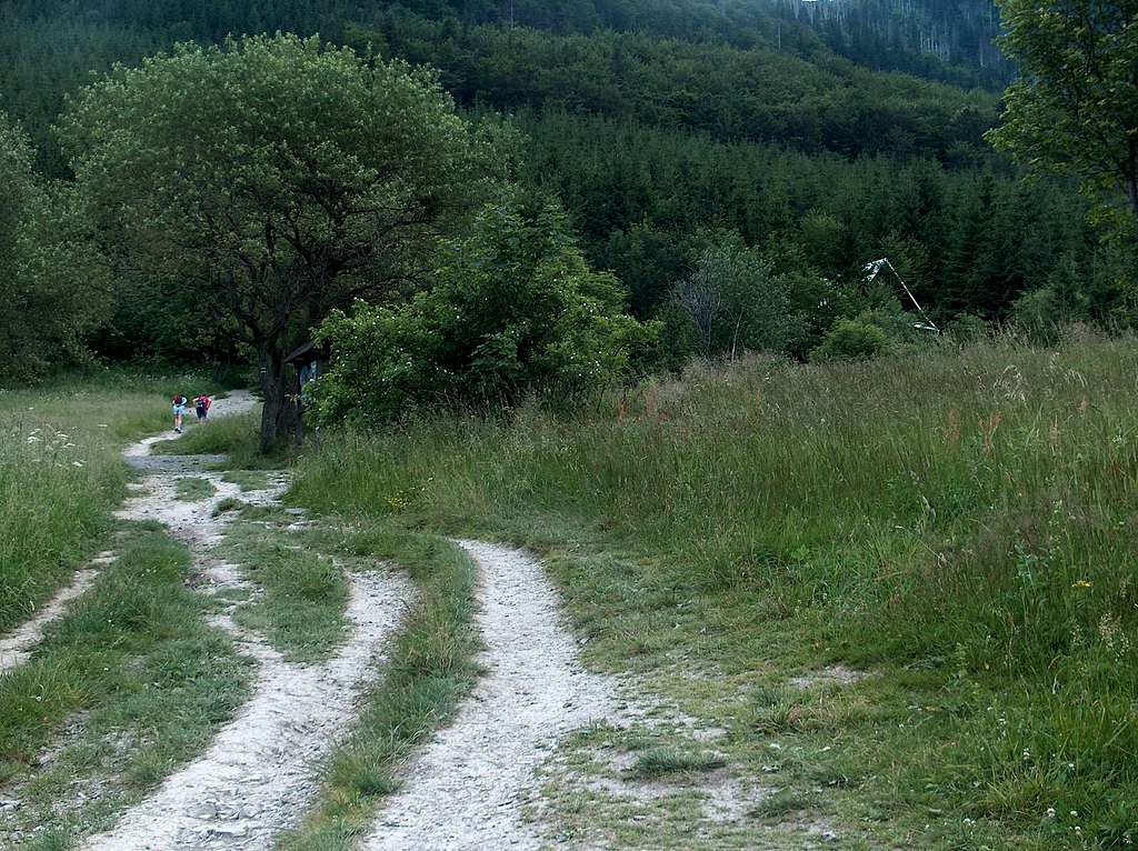 Trail on Lysá hora