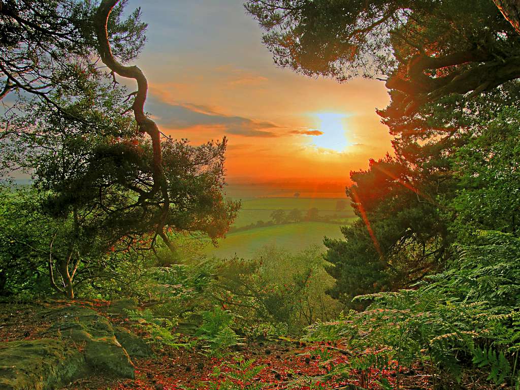 Magical Mystical sunset Pim Hill