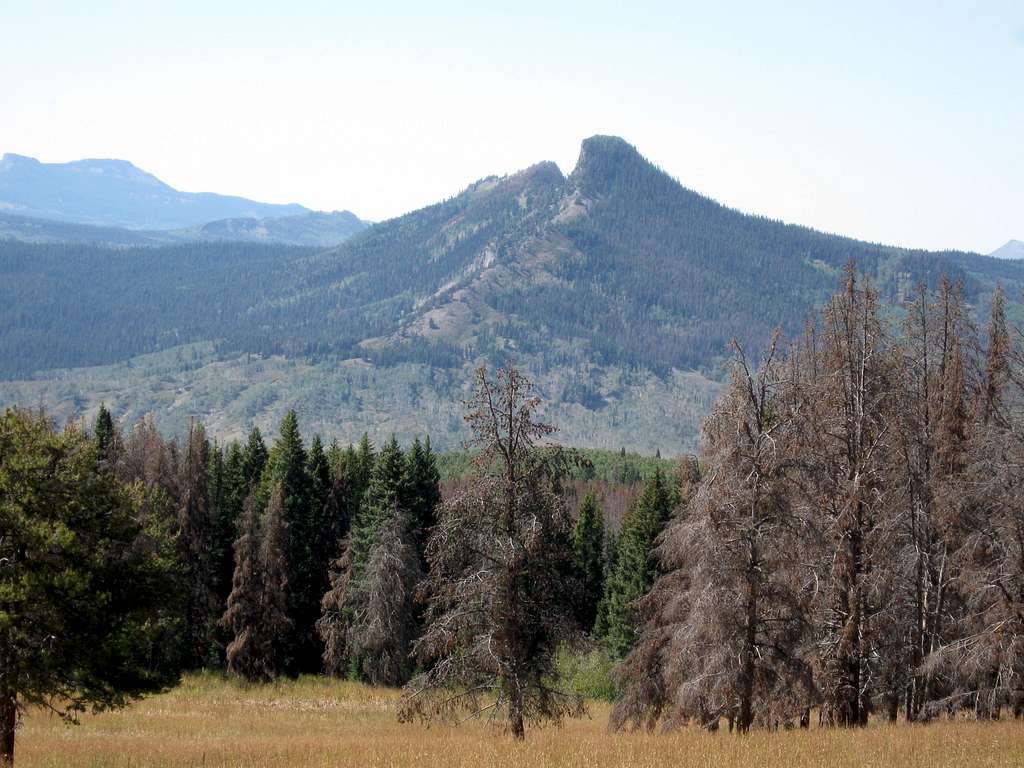 Saddle Mountain from the east