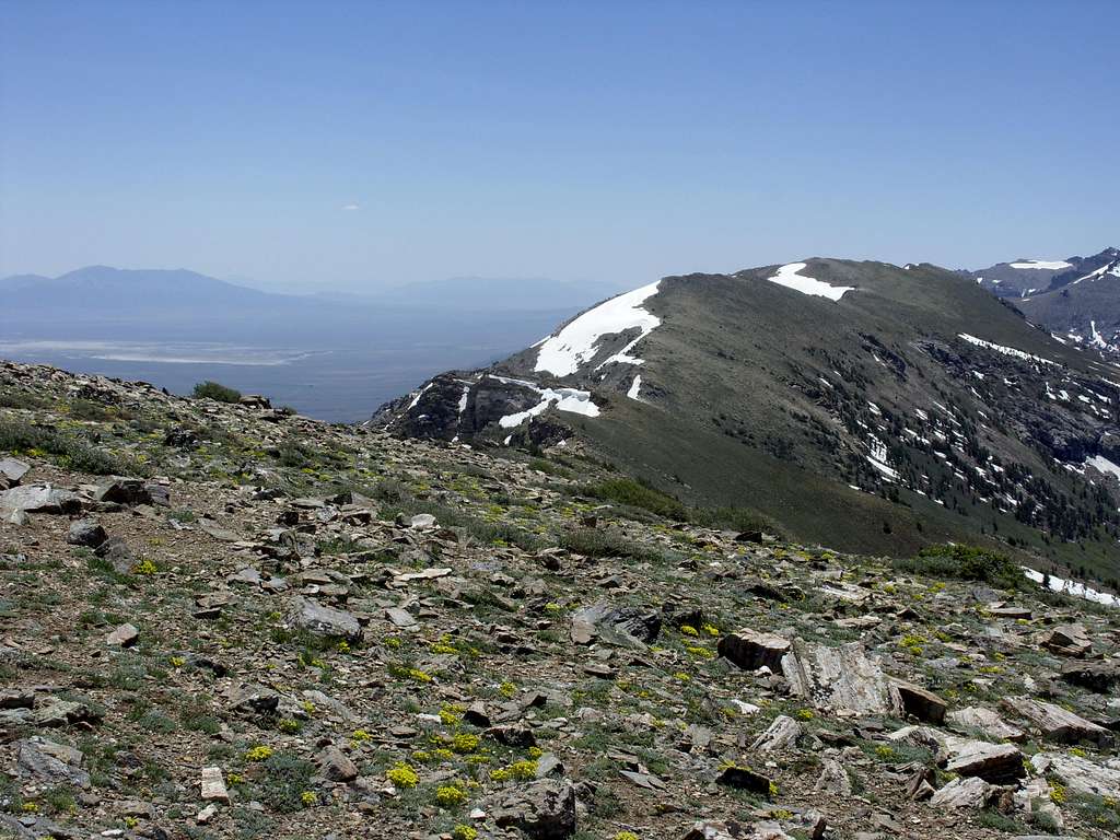 View of Peak 10745 from below Greys Peak