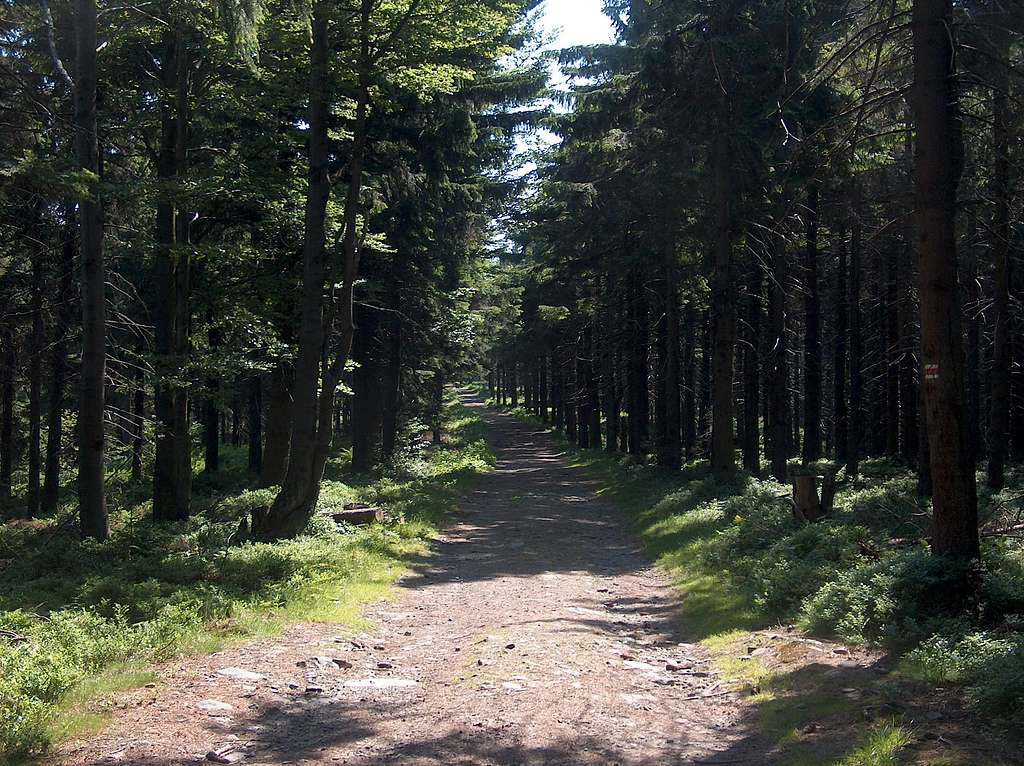 Trail to Tanečnice