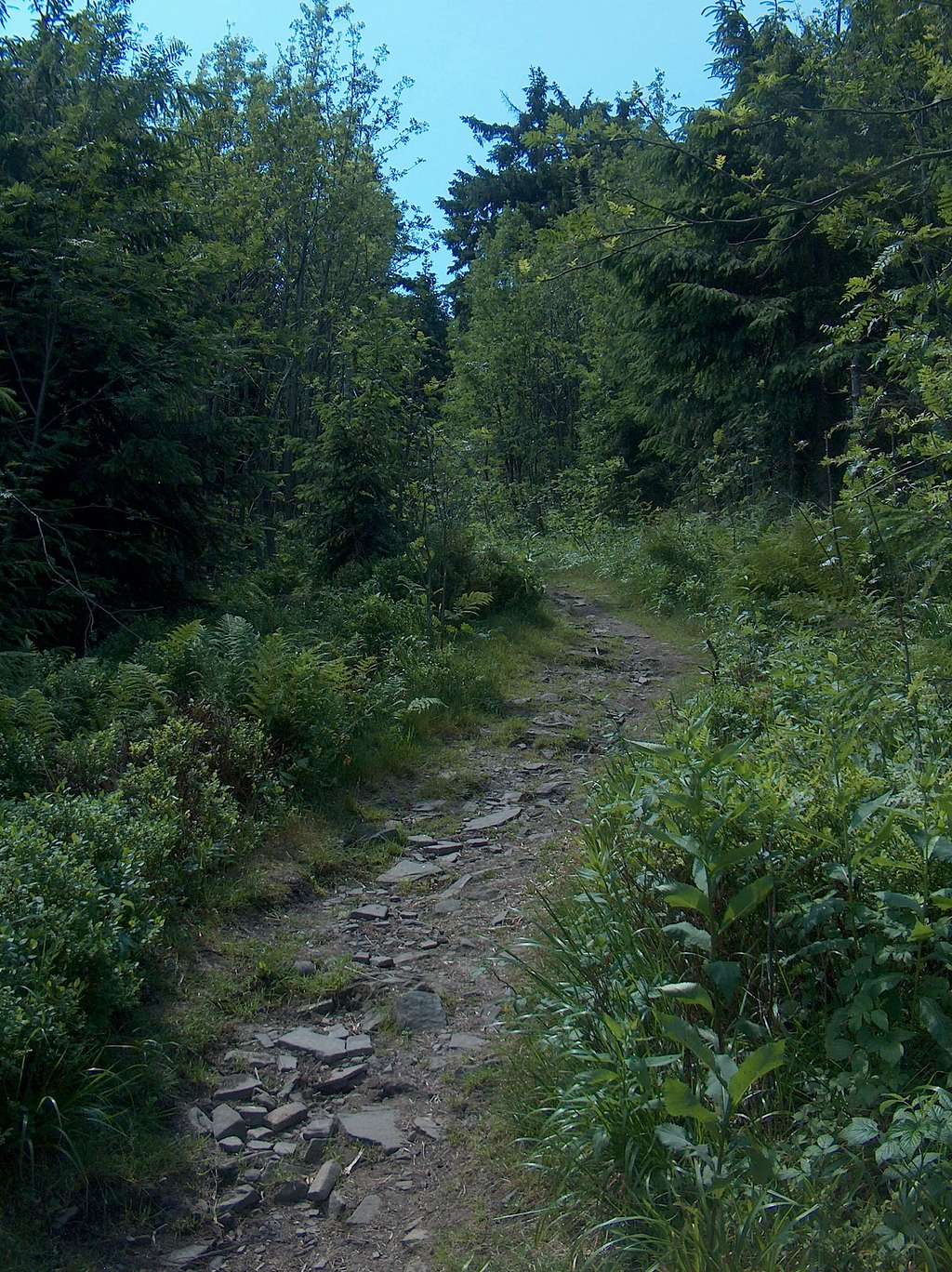 Trail to Kněhyně from Čertův Mlýn