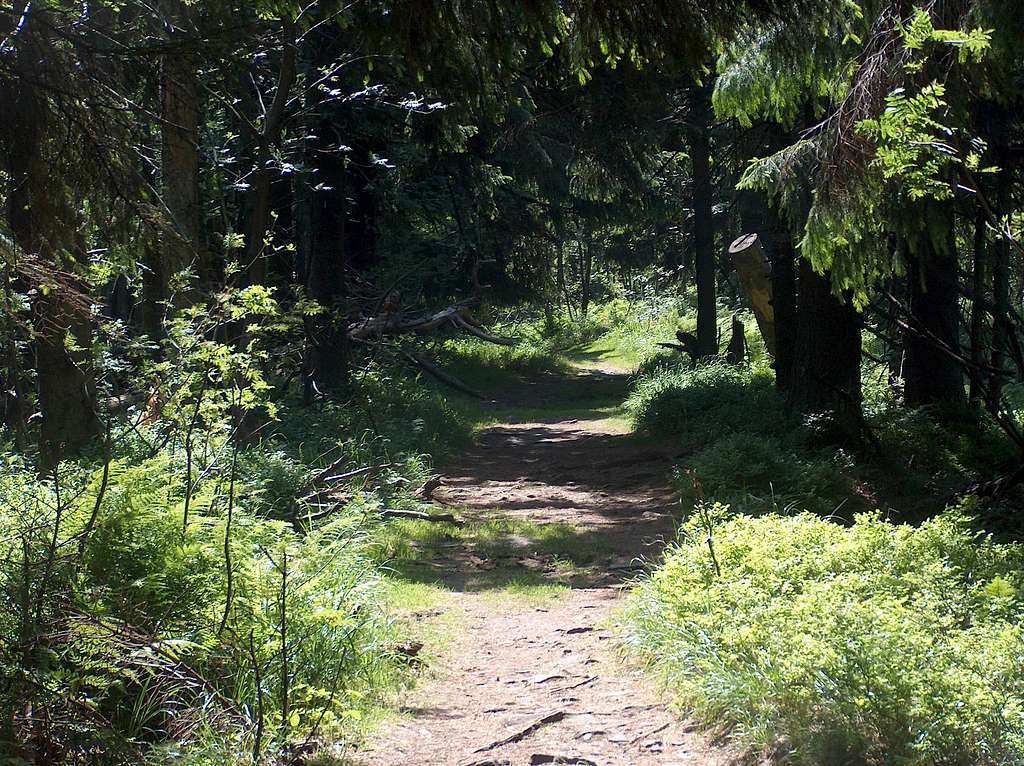Trail to Kněhyně from Čertův Mlýn