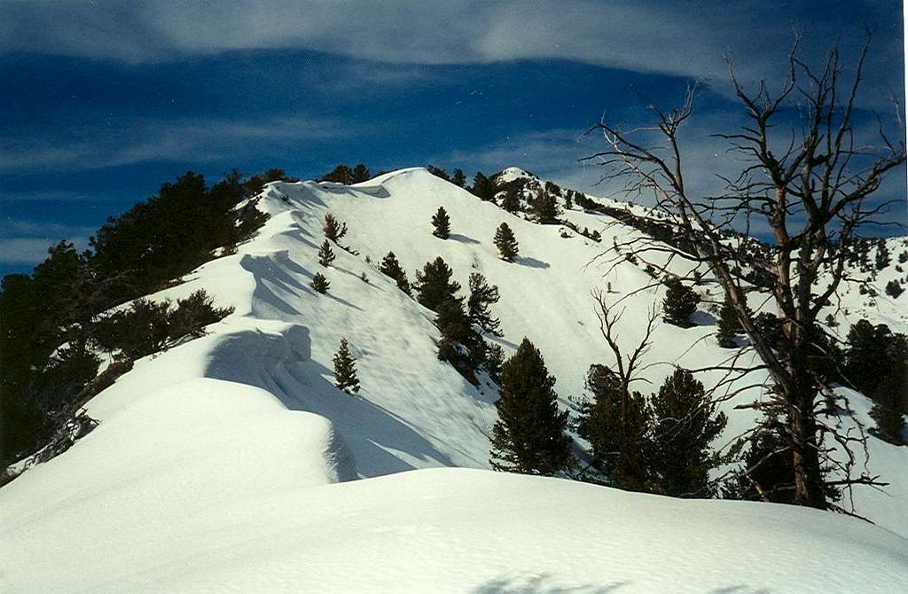 Vickory Peak Ridge