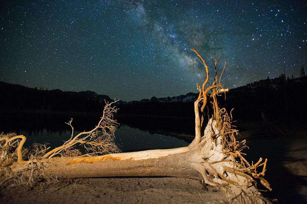 Dead Tree and Milky Way, Horseshoe Lake