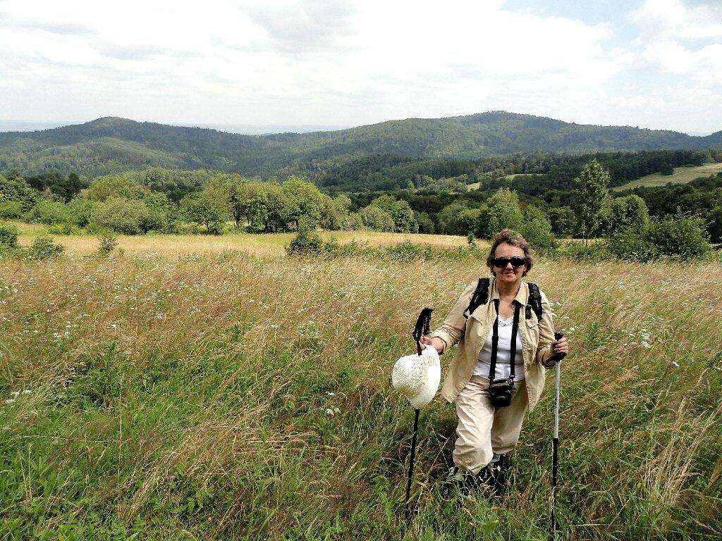 On the slope of Mount Wołtuszowska (673 m)