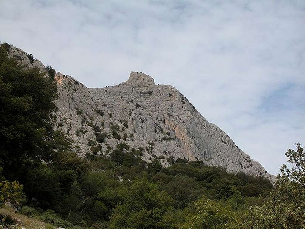 Punta sos Nidos seen from the...