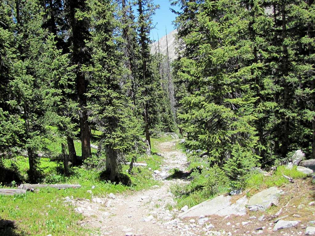 Trail to Anderson Lake