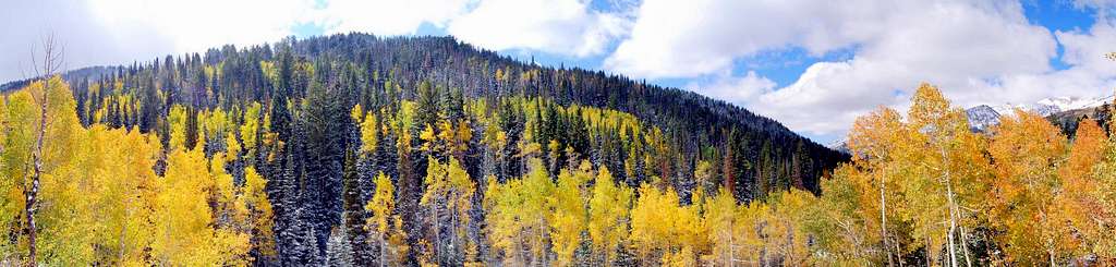 Fall in American Fork Canyon