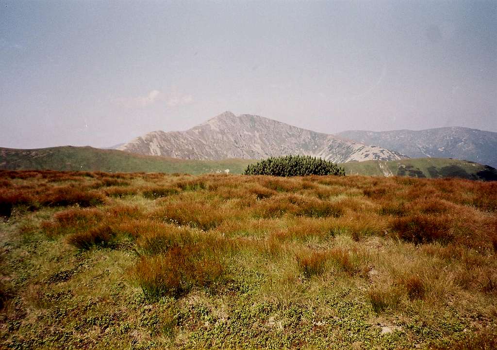 panoramatic view of Chopok (2023m - Low Tatras - Slovakia)