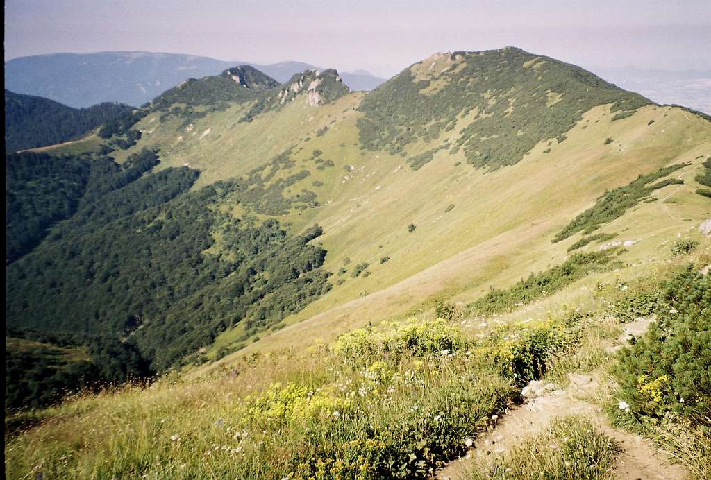 Suchý-Biele skaly-Stratenec ridge