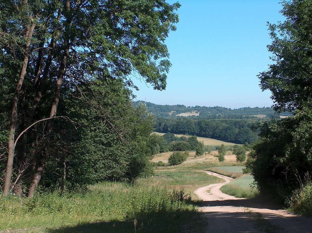 Beautiful trails