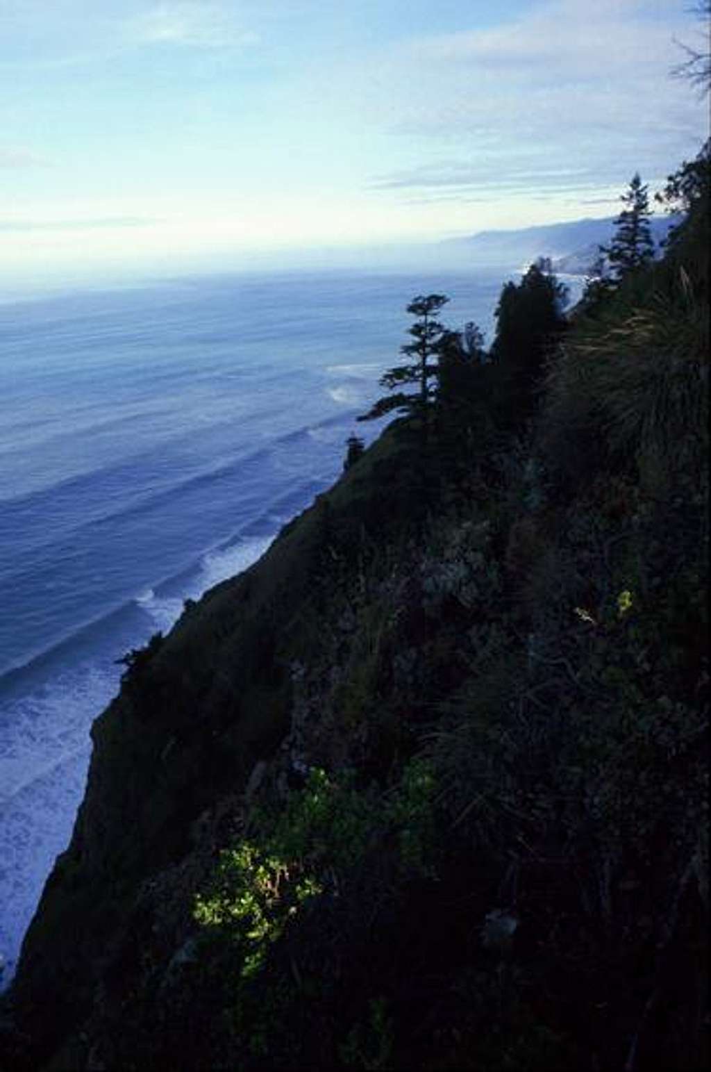 Lost Coast Cliffs